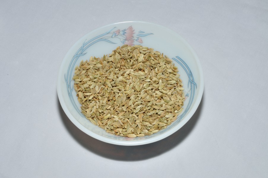 Fennel Seeds - Kolkata 2011-11-15 7057