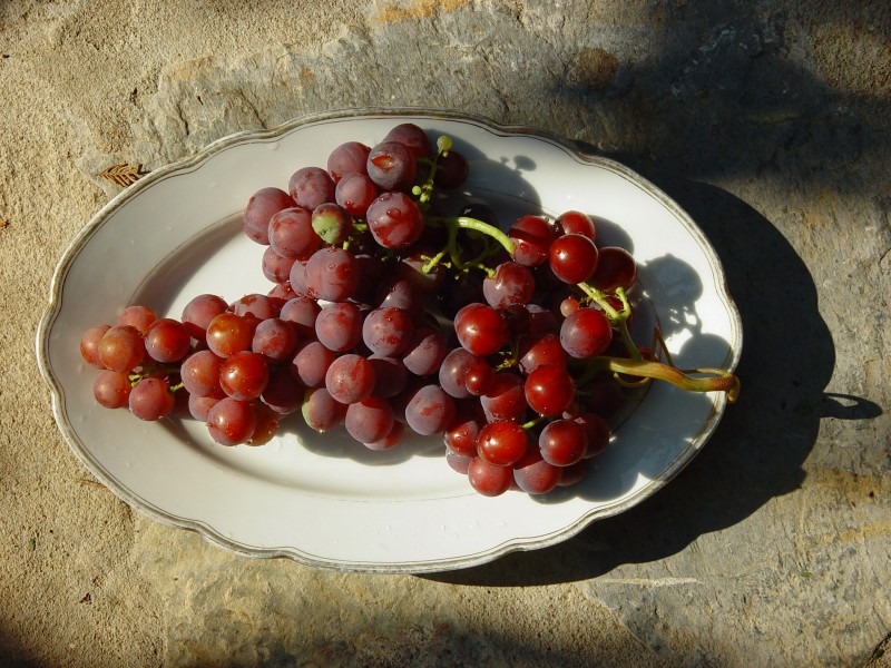 Red Grapes
