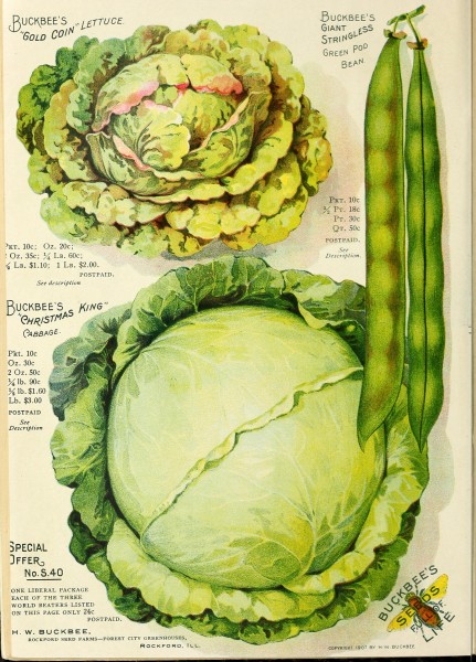H.W. Buckbee seed and plant guide 1907 (1907) (14742549526)