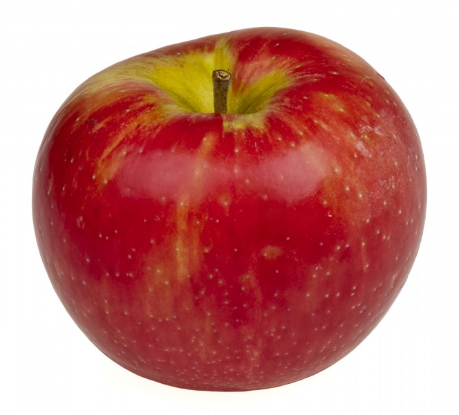Honeycrisp-Apple