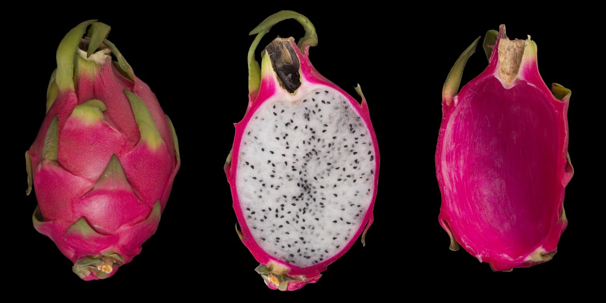 Hylocereus undatus-fruit20180201 118(07,24,36)