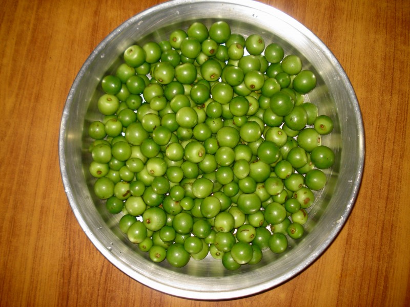 Lasoora ready for Pickle