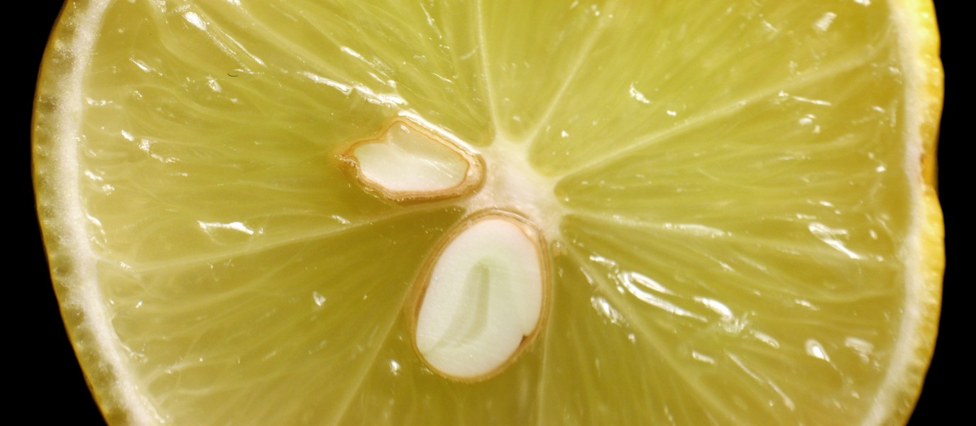 Lemon Half