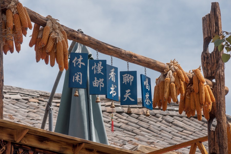 Lijiang Yunnan Sweet-Corn-on-an-internet-café-01