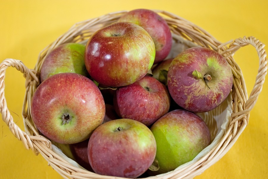 Malus Purpurroter Zwiebelapfel 4223