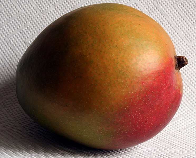 Mango 2008-3-1