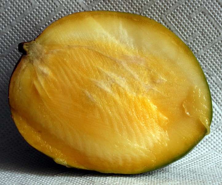 Mangohälfte 2008-3-1