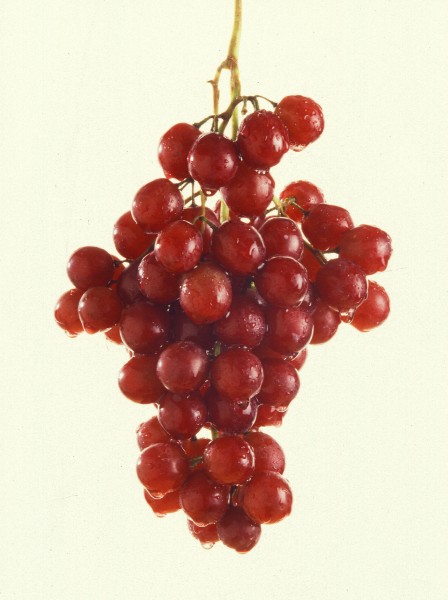 More grapes