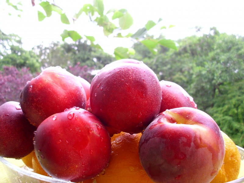 Natural foodstuff 006