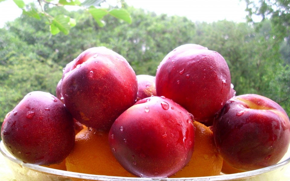 Natural foodstuff 006b