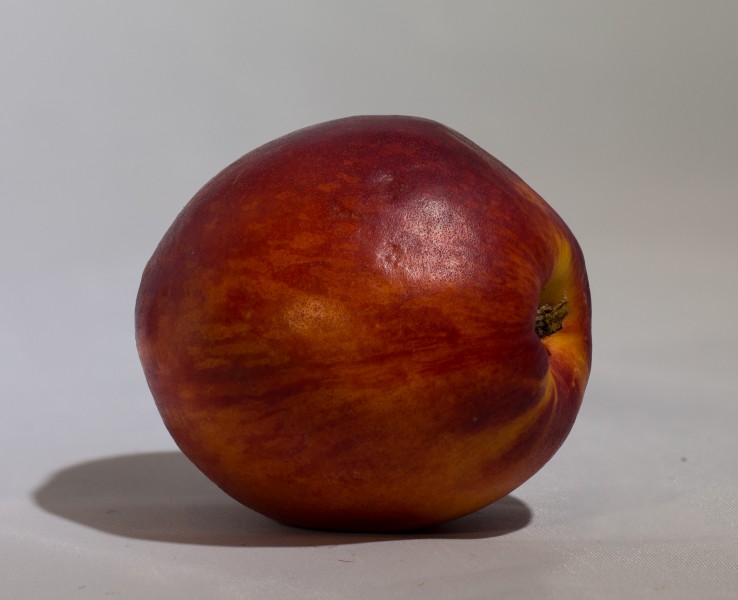 Nectarine on white