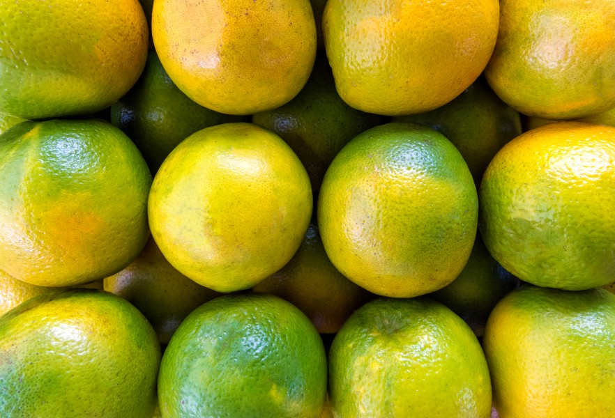 Oranges of Saúde flea market, São Paulo, Brazil
