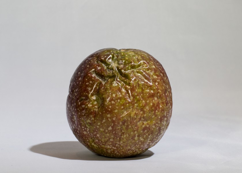 Passionfruit2