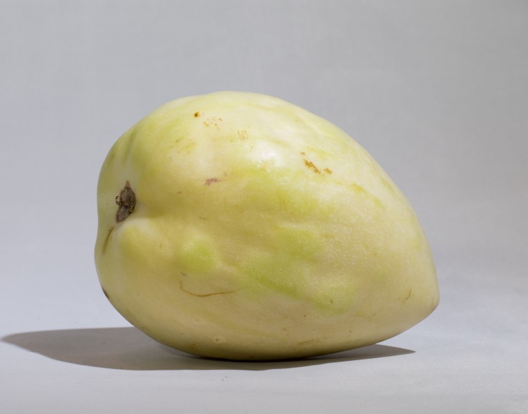 Pepino melon