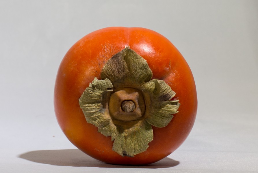 Persimmon top