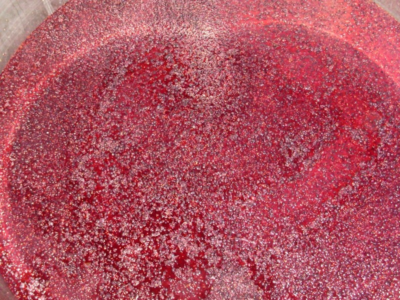 Pinot noir grapes starting to ferment