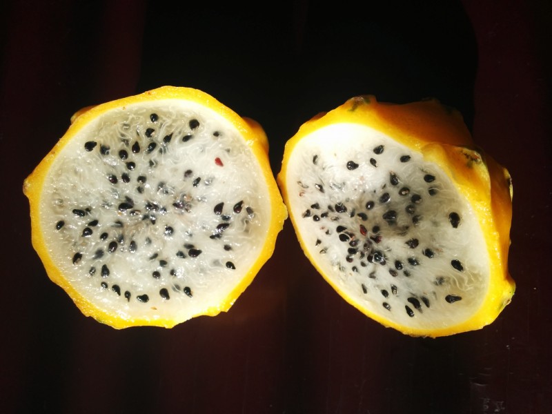Pitahaya 2