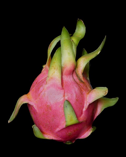 Pitaya J1