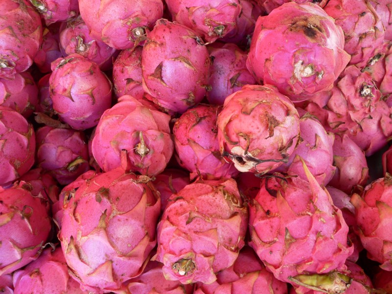 Pitaya P1190424