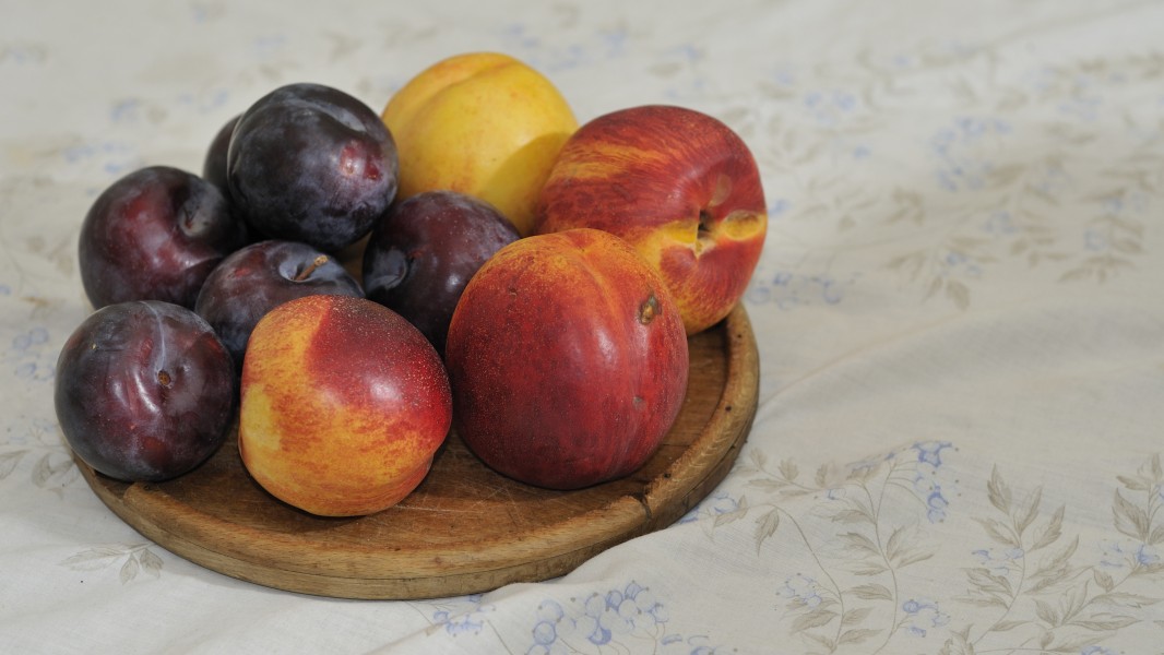 Prunes and Nectarines (4039921754)