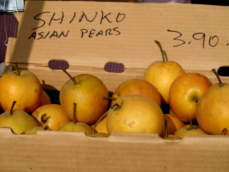 Pyrus pyrifolia-Shinko Asian Pear