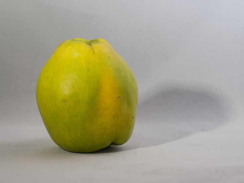 Quince (10895s)