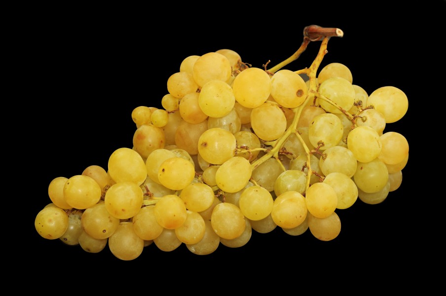 Raisin Italia - 4