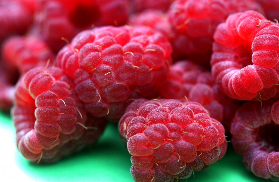 Raspberries macro 1r