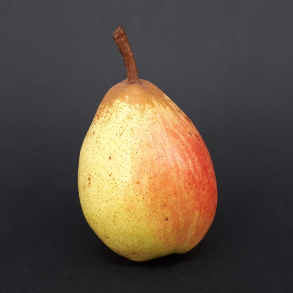 Rocha Pear 2017 AE
