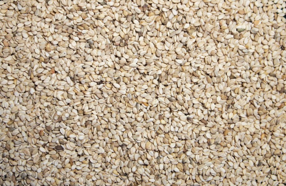 Sesame seeds2
