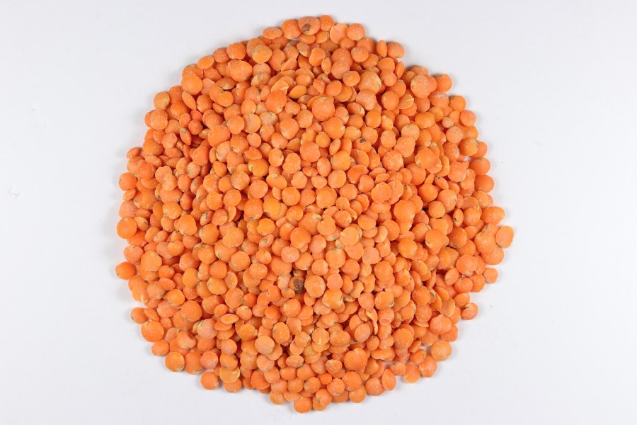 Split Red Lentil