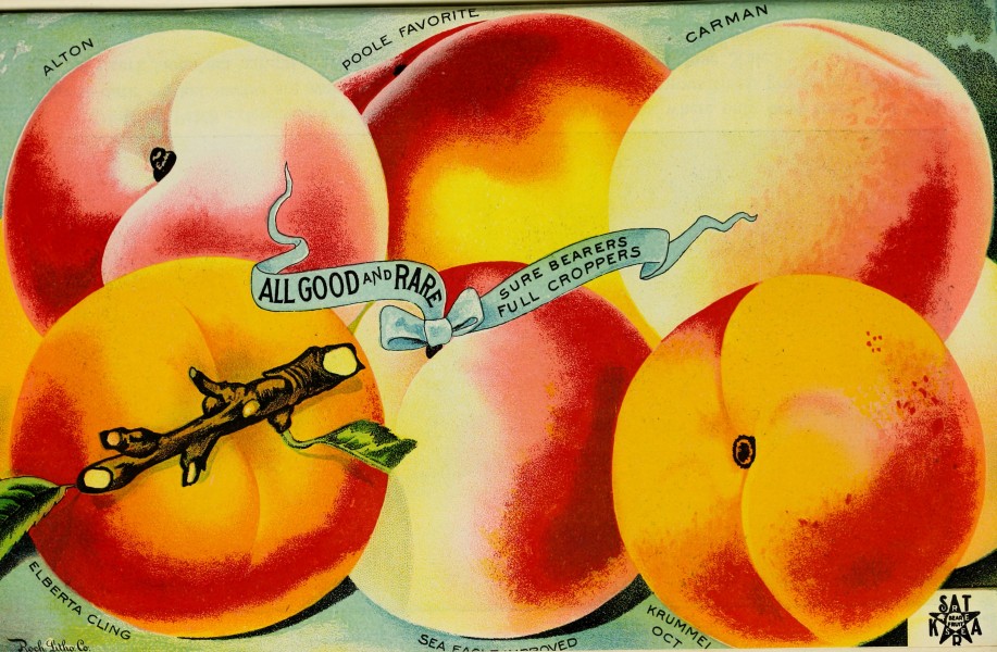 Stark fruit book (1901) (20562538015)