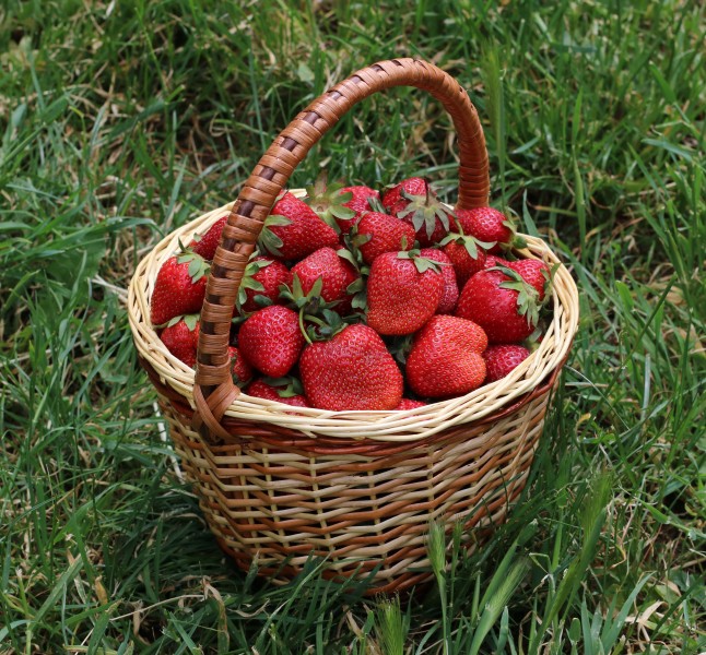 Strawberries in basket 2018 G1