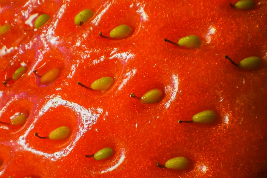 Strawberry surface close up macro