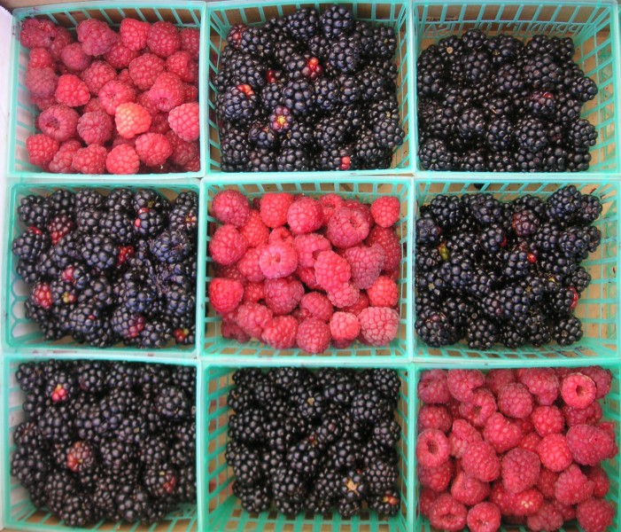 Tic-tac-toe berries
