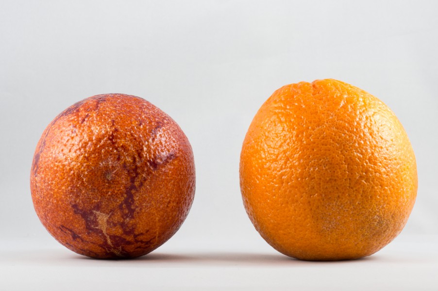 Two blood oranges