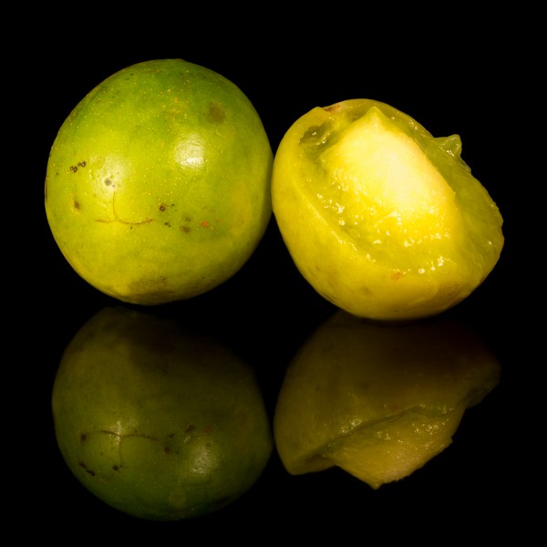 Umbu fruto aberto e fechado em fundo preto (versão cortada)