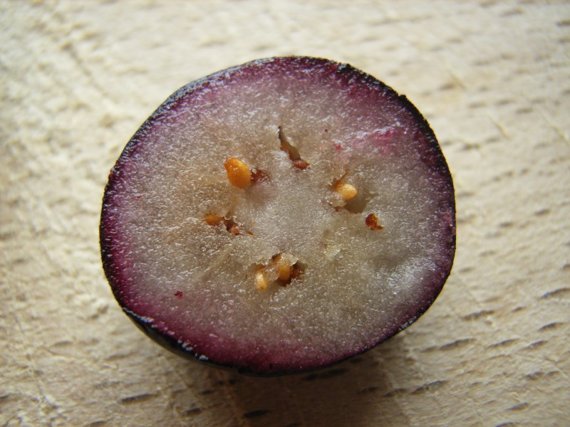 Vaccinium fruit