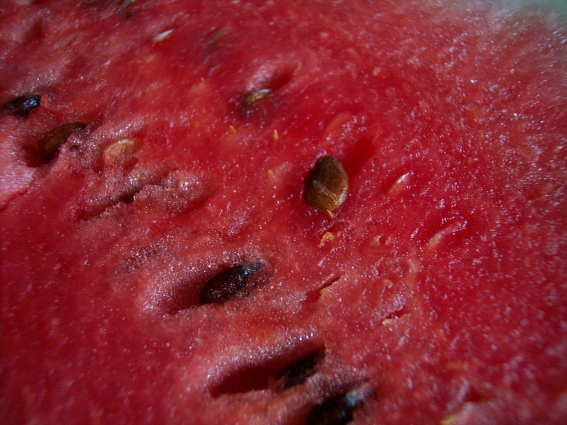 Watermelon-3