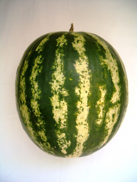 Watermelon1