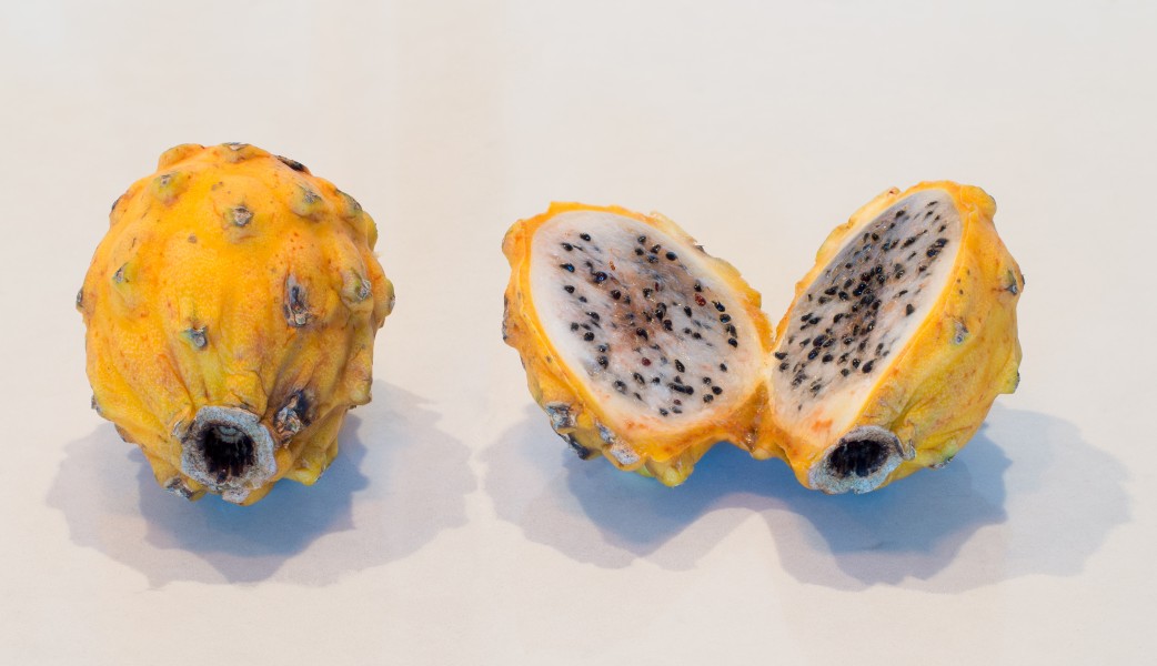 Yellow dragon fruit (50831s)