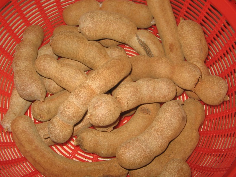 YosriBuahAsamJawa1