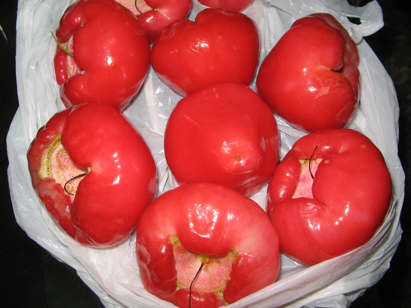 YosriBuahJambuAir