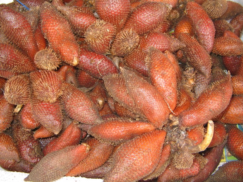 YosriBuahSalak