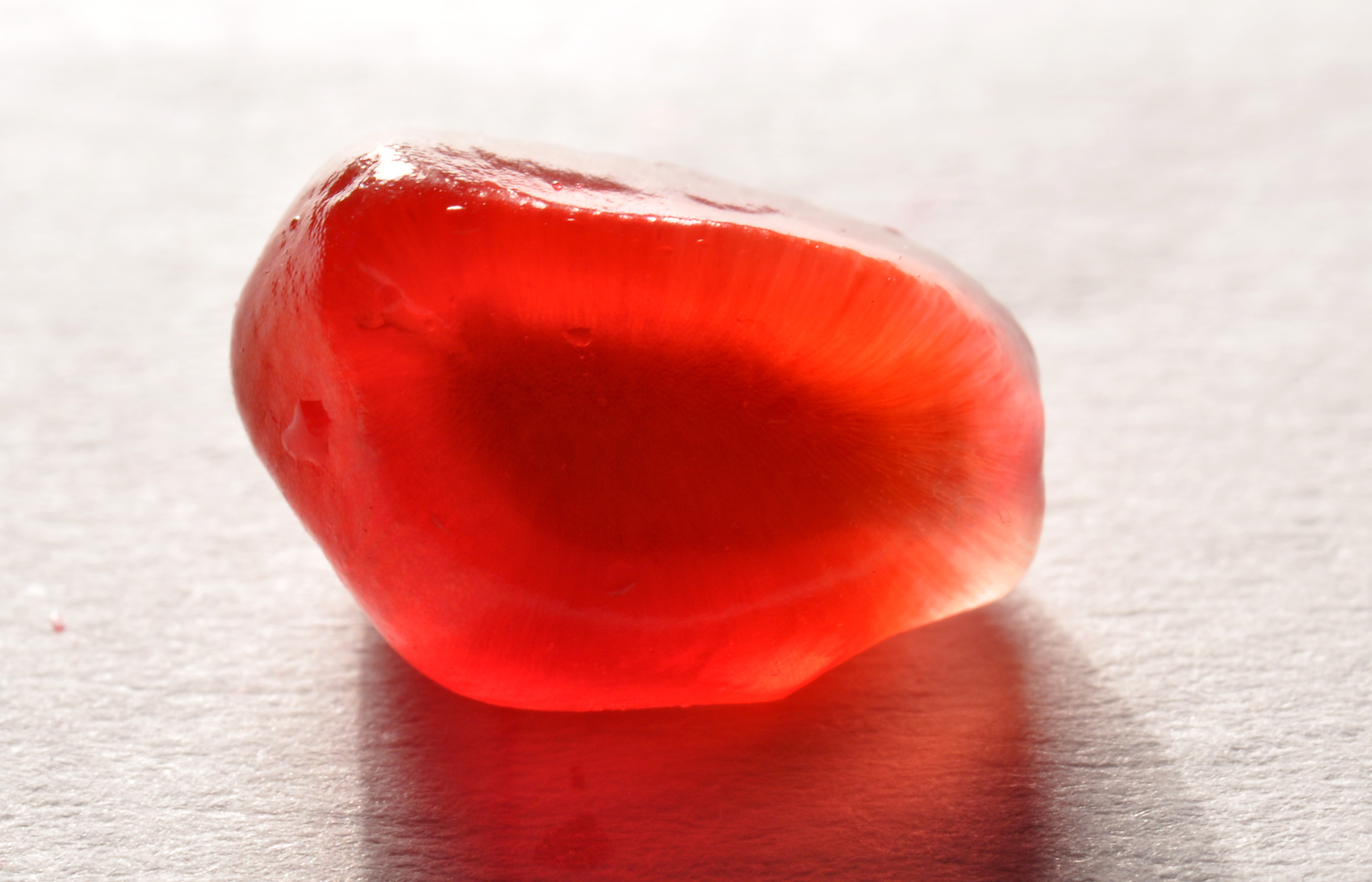 Punica granatum 010