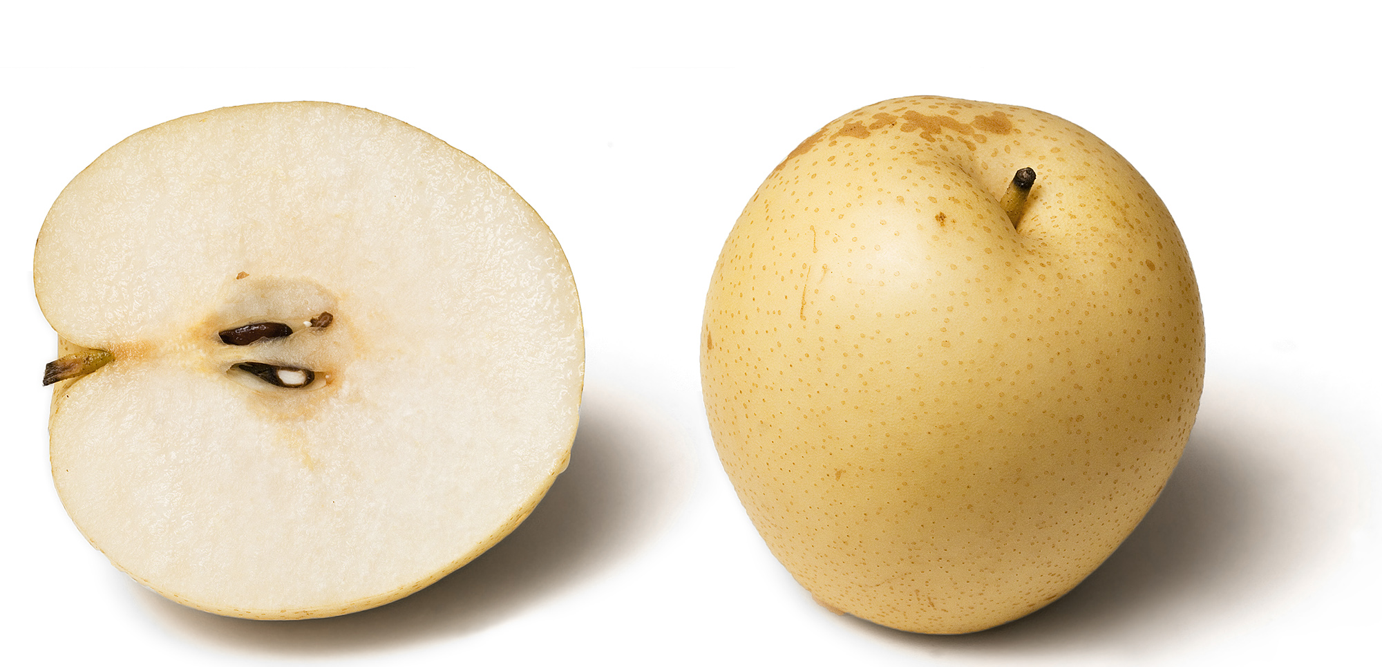 Pyrus pyrifolia