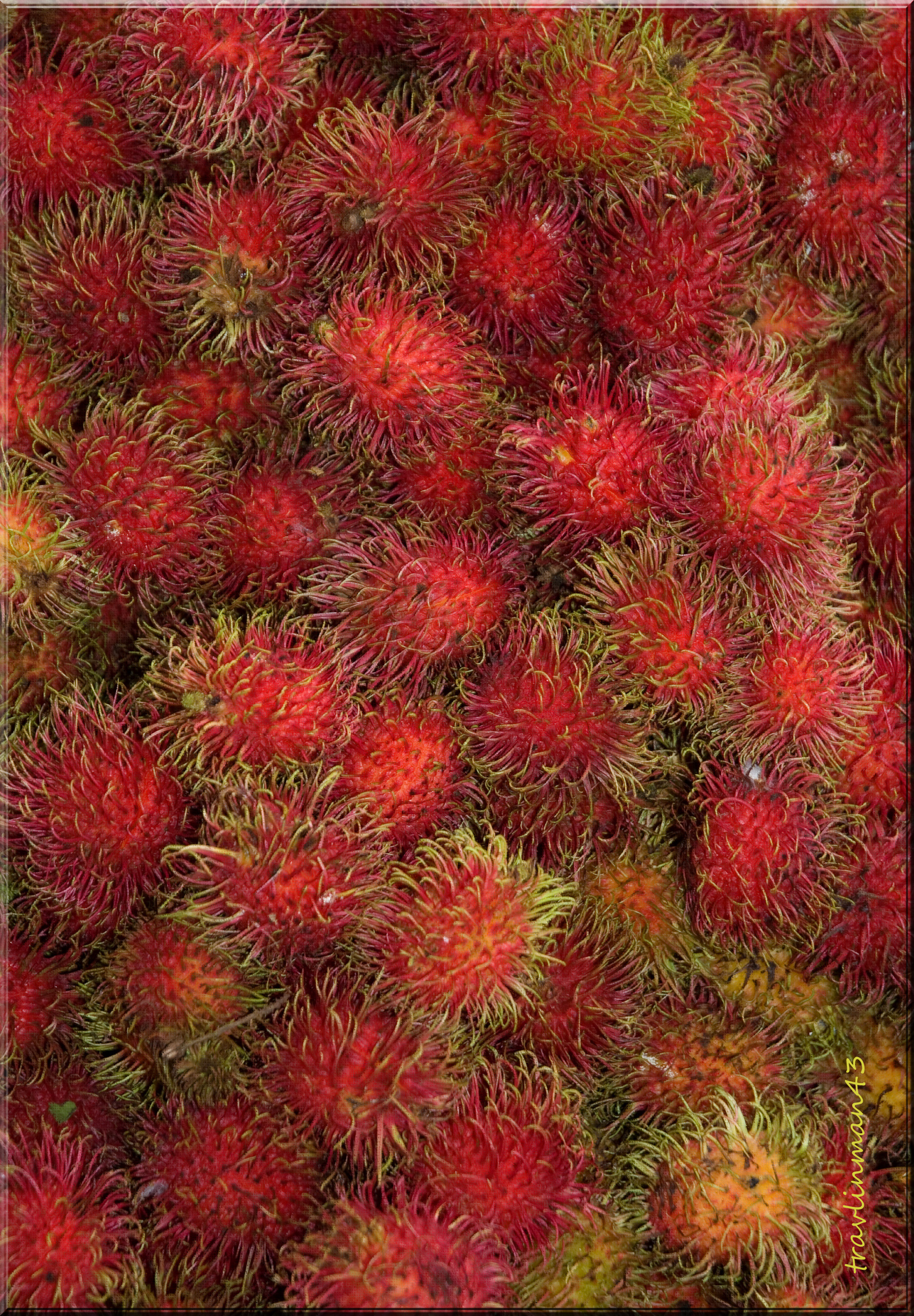 RambutanFruit