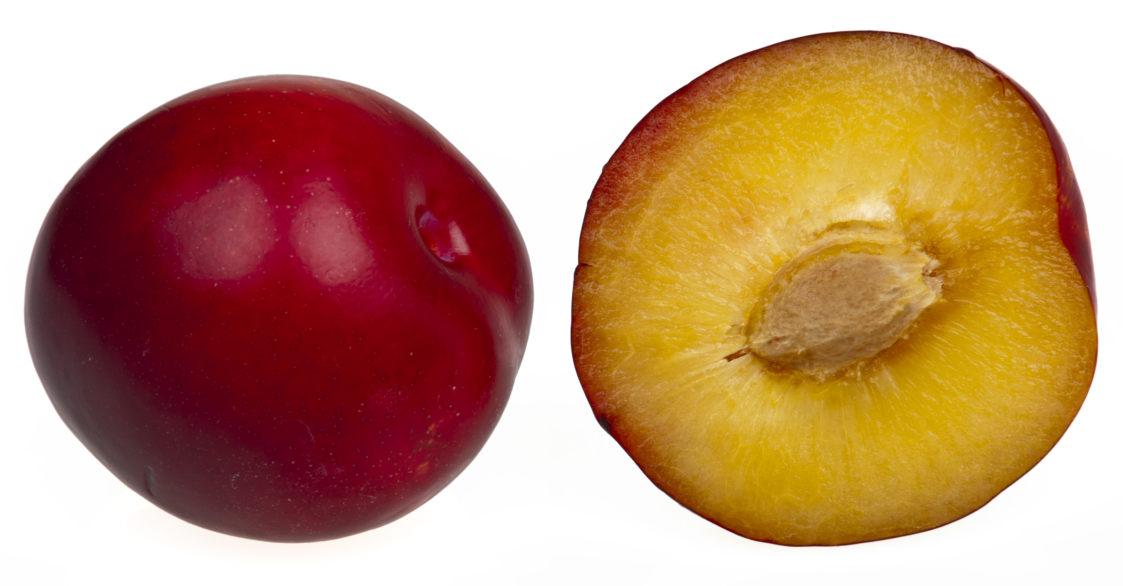 Red-Plums