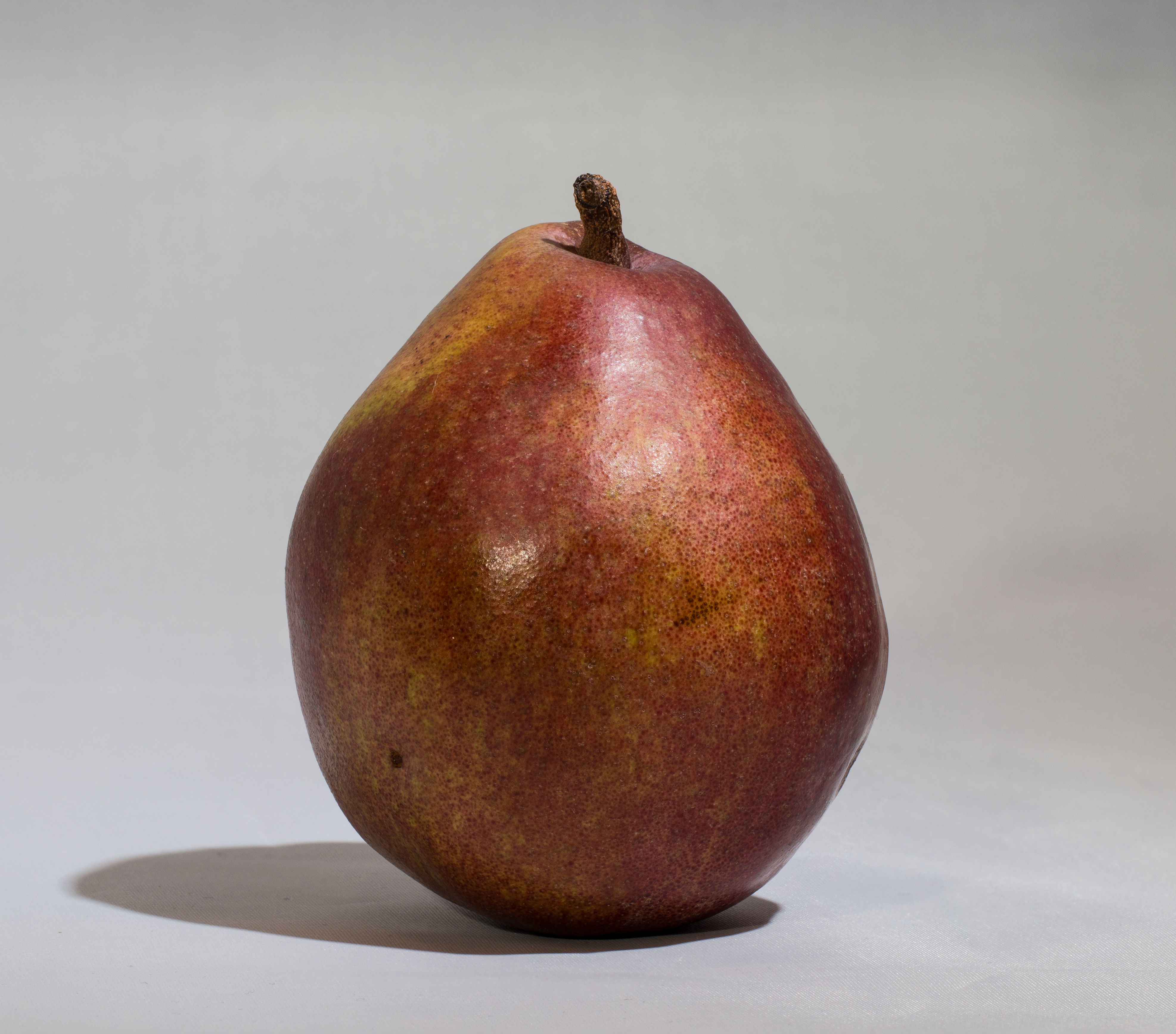 Red Bartlett pear