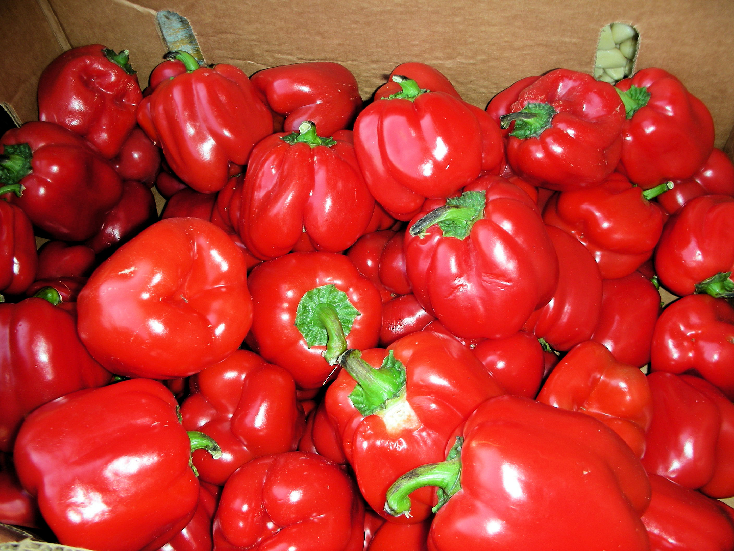 Red Capcicum